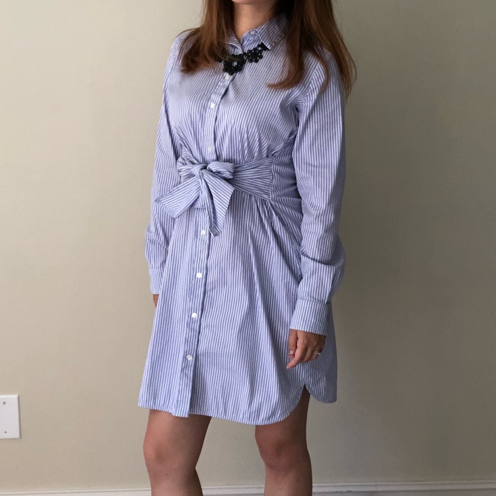 Ann Taylor Shirt dress